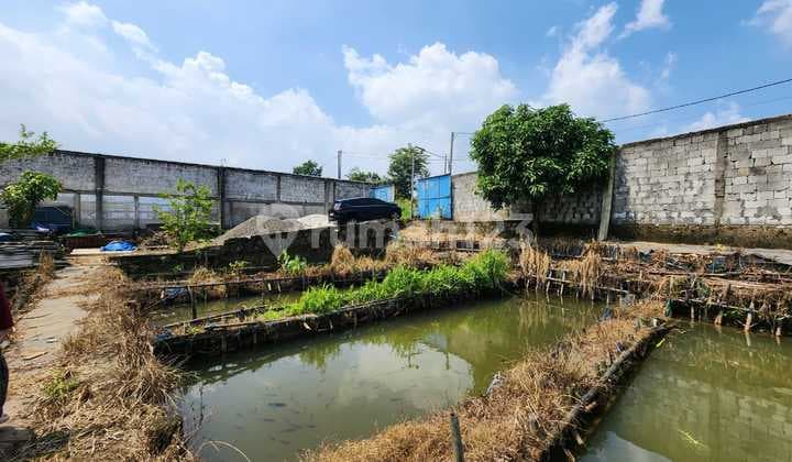 WTS / Dijual Cepat Kavling ada Empang dengan Lahan Luas di Desa Iwul, Bogor, Jawa Barat