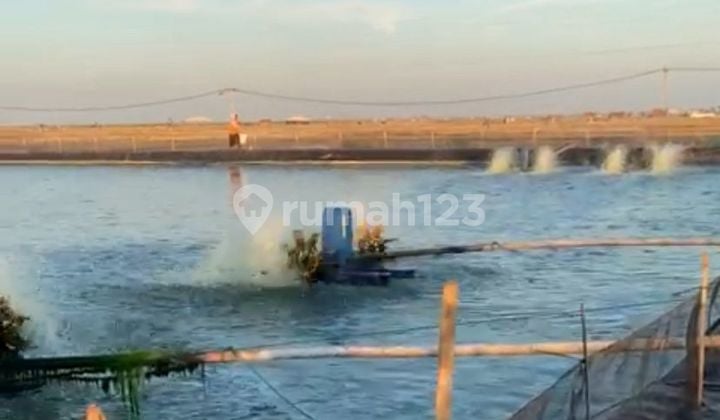 WTS / Dijual Cepat Lahan Bekas Tambak dan Siap Pakai di Desa Bendungan, Gebang, Cirebon, Jawa Barat