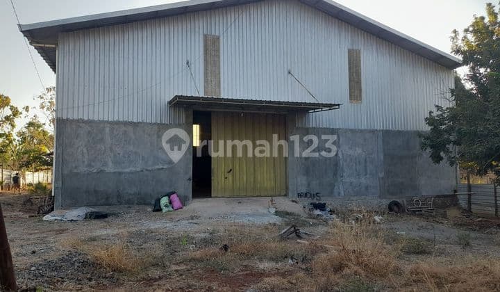 Gudang Dekat Bandara Eltari Kontrakan 2800 M Shm Bagus Sangat Strategis