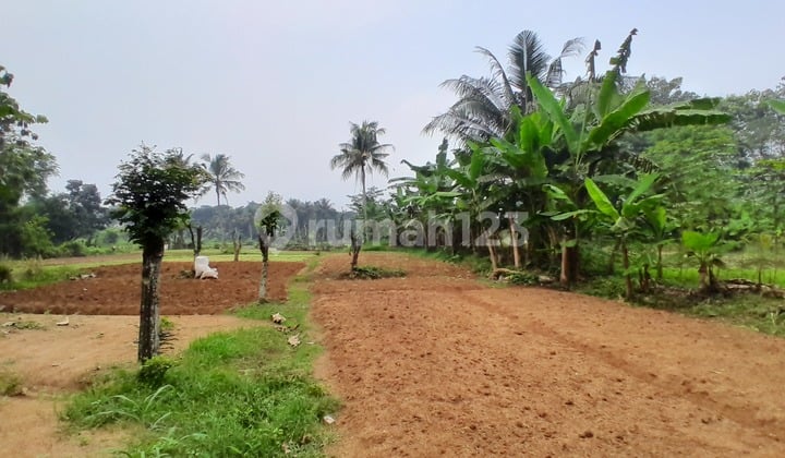 Tanah Strategis Dekat Bilabong Untuk Investasi Dan Hunian