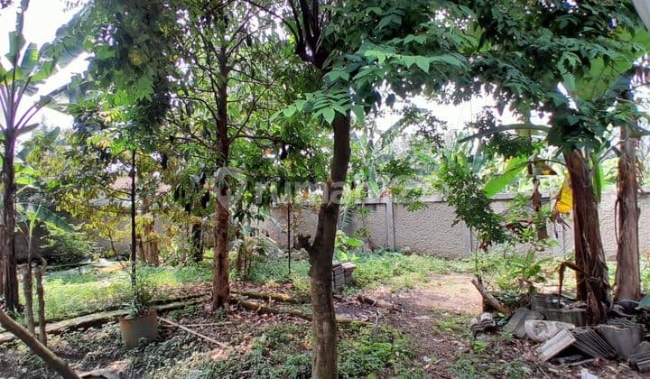 Dijual Tanah SHM 1001m di Ciseeng Parung Dekat Telaga Kahuripan