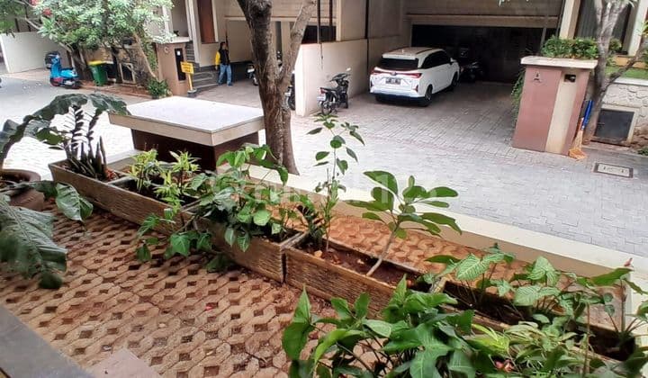 Disewa Rumah 2 Lantai Pejaten ada Kolam Renang dalam Cluster (IR)