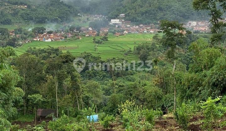 JUAL CEPAT NEGO KERAS TANAH DI DATARAN TINGGI CIWIDEY COCOK UNTUK KANDANG SAPI PERKEBUNAN ATAU VILLA NEGO SAMPAI DEALL!!!!