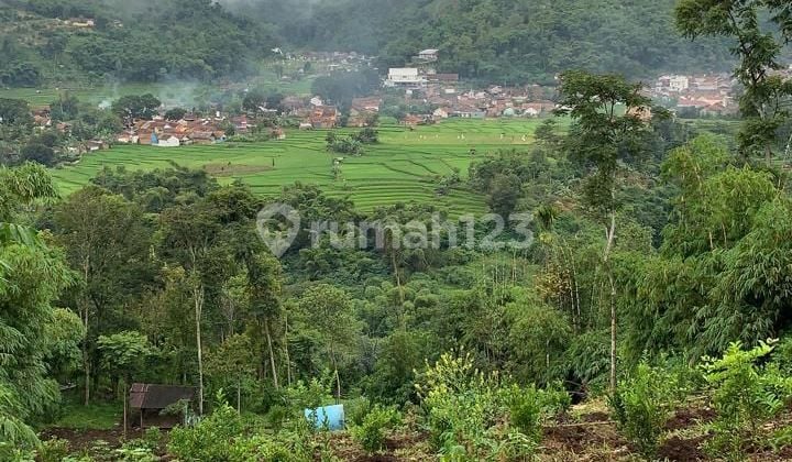 JUAL CEPAT NEGO KERAS TANAH DI DATARAN TINGGI CIWIDEY COCOK UNTUK KANDANG SAPI PERKEBUNAN ATAU VILLA NEGO SAMPAI DEALL!!!!