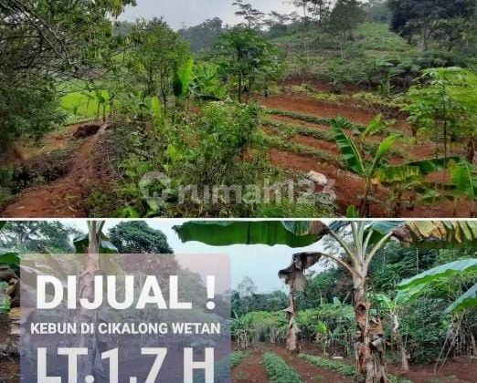 DIJUAL Tanah di Cikalong wetan bandung barat 1,7 hectare