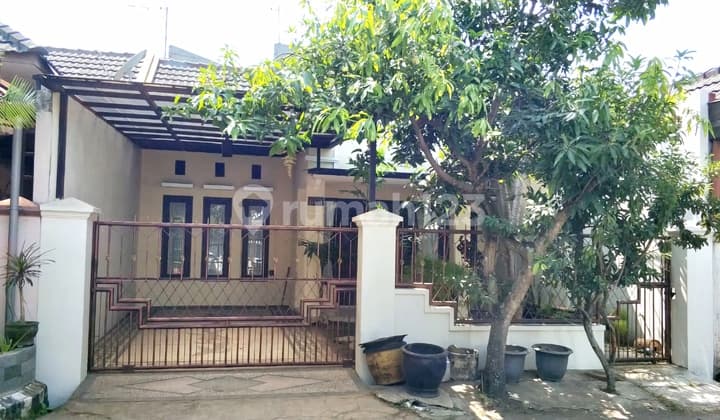 Dijual Rumah Di Sulfat Malang