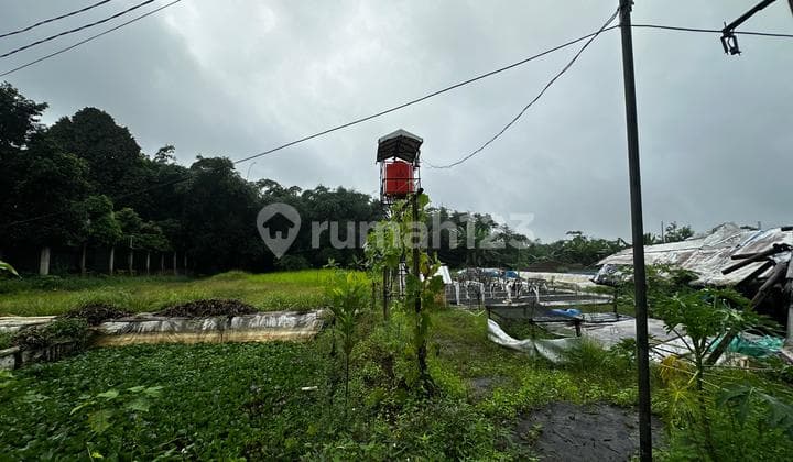 Tanah 1 Hektar di Dramaga Bogor Sertifikat Hak Milik