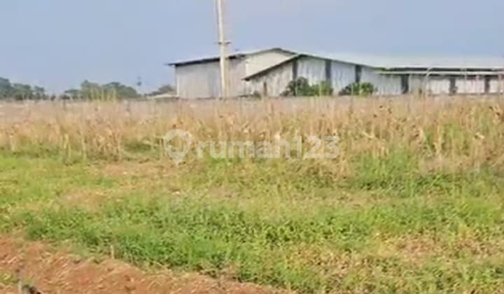 Disewakan Tanah Industri Lokasi Jalan Muhammad Ali, Kecamatan Kemiling, Kota Bandar Lampung