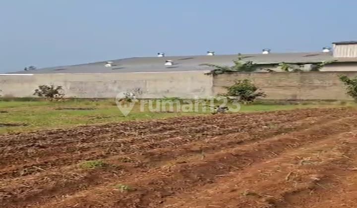 Disewakan Tanah Industri Lokasi Jalan Muhammad Ali, Kecamatan Kemiling, Kota Bandar Lampung