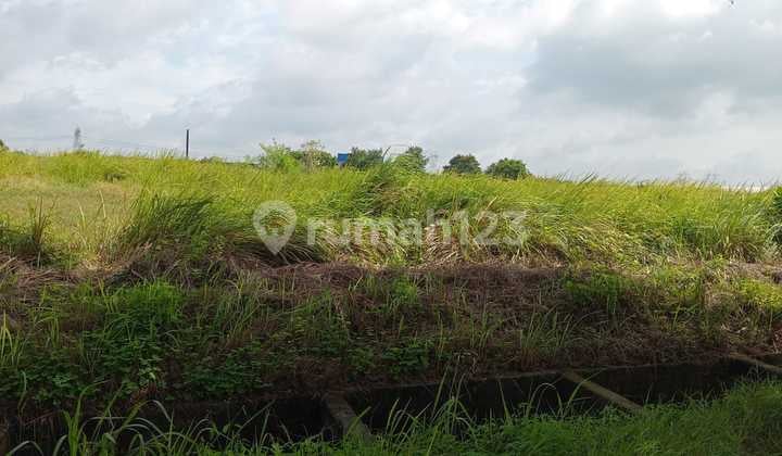 Tanah Kawasan Industri Modern Cikande 10ha Boleh Ambil 2ha