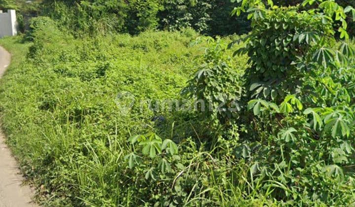 Tanah Murah di Panongan, cocok Perumahan, Pabrik, Gudang