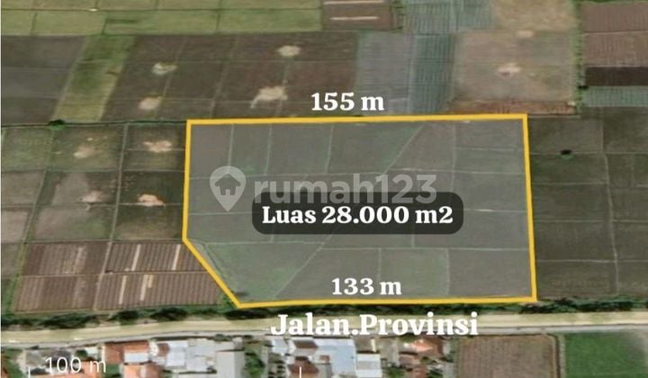 Dijual Tanah Strategis Jalan Kaki Tol Gending Probolinggo Kabupaten Dijual Tanah Strategis Jalan Kaki Tol Gending Probolinggo Kabupaten