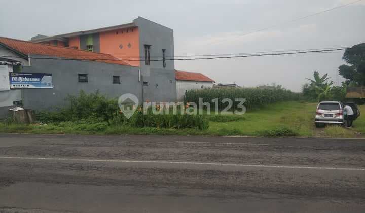 Raya Dlanggu,mojokerto Murah, Nol Jalan Raya, Jawa Timur