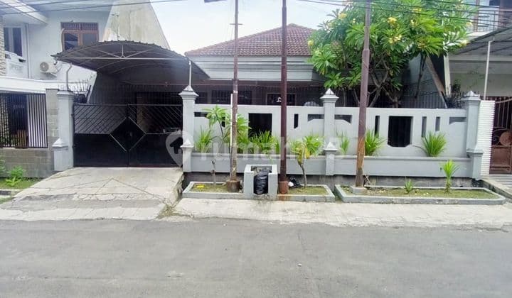 Jual Rumah Klasik Dharmahusada Indah Murah Merr Galaxy Mall Kantor Klinik Unair Sby Timur