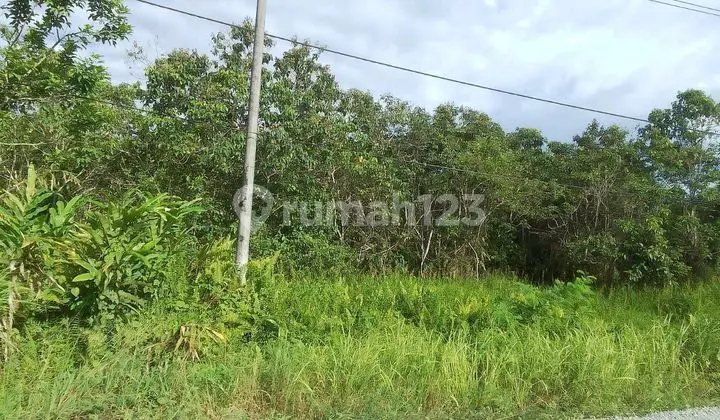 Jual Tanah Kavling Untuk Mal Rumah Sakit Hotel Perumahan Tanjung Selor Kalimantan Utara