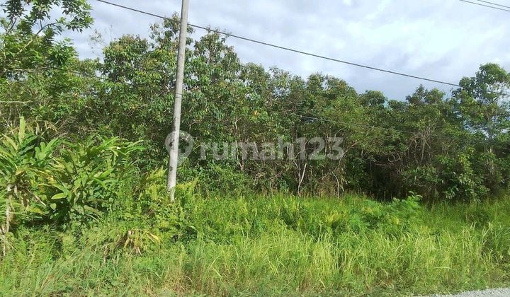 Jual Tanah Kavling Untuk Mal Rumah Sakit Hotel Perumahan Tanjung Selor Kalimantan Utara