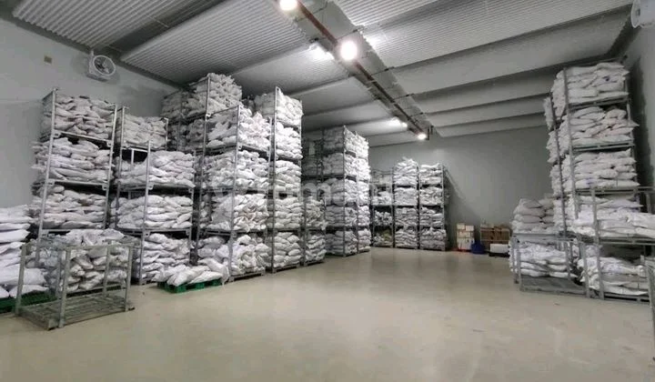 Selling Active Cold Storage Fish Factory in Probolinggo Selling Active Cold Storage Fish Factory in Probolinggo