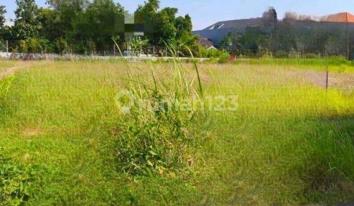 Land for Rent Ready to Build 0 Twin Main Road Hayam Wuruk Gajah Mada Transmart Strategic City Center Jember