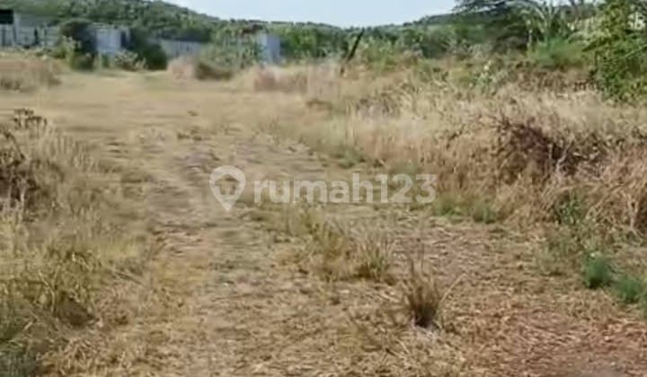 Jual Tanah Zona Industri Pabrik Gudang Ikan Kayu Dekat Pelabuhan Probolinggo Kota