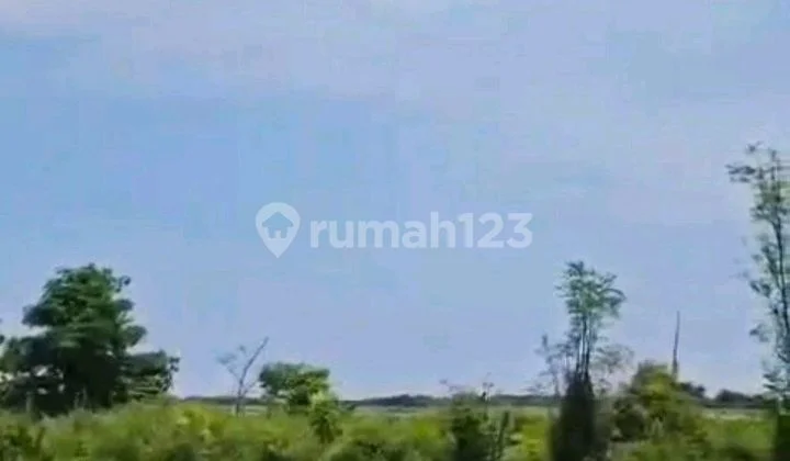 For Sale Industrial Zone Land on National Provincial Highway Near Paiton Krakaan Toll Road Probolinggo Regency For Sale Industrial Zone Land on National Provincial Highway Near Paiton Krakaan Toll Road Probolinggo Regency