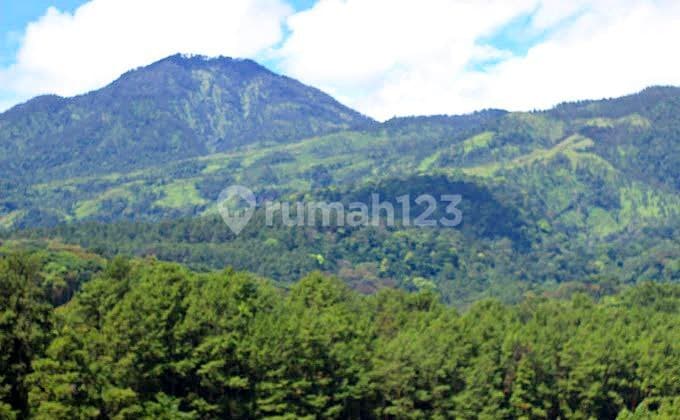 Jual Vila Villa Klasik Eropa Mewah Dekat Ubs View Gunung Prigen Pasuruan