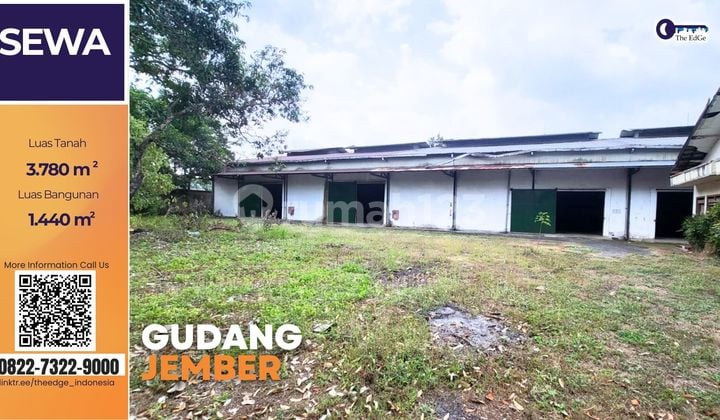 Gudang Strategis di Teuku Umar Jember Dekat Stasiun & Bandara - The Edge