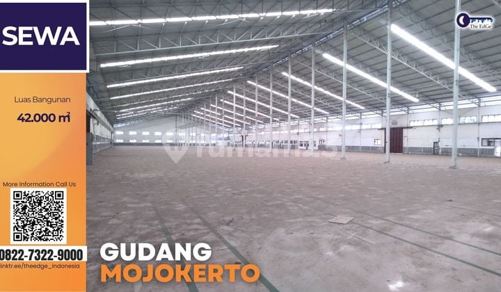 Gudang Besar Mojokerto Disewakan - 4 Hektar Siap Operasional
