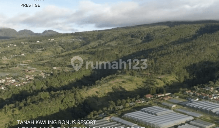 FOR SALE TANAH KAVLING BONUS RESORT DI LEMBANG BANDUNG JAWA BARAT