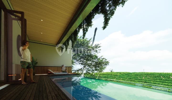 Villa Complex Full Furnished Lokasi Canggu