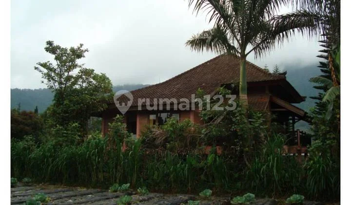 Di Jual Villa View Kebun Lokasi Pingir Jalan Bedugul