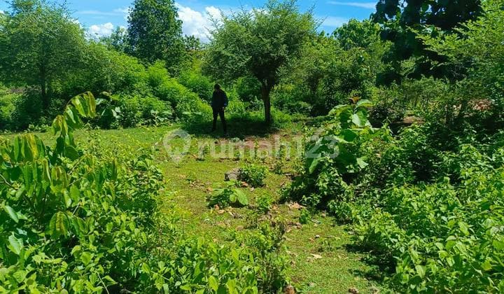 Tanah Area Gading Kencana - Jimbaran Selatan