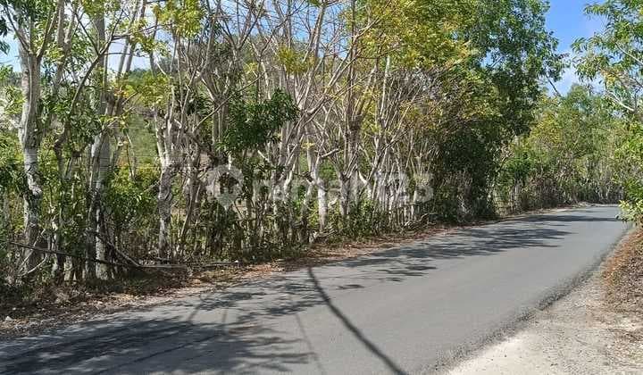 Tanah Siap Bangun di Lokasi Strategis Labuan Sakit Uluwatu