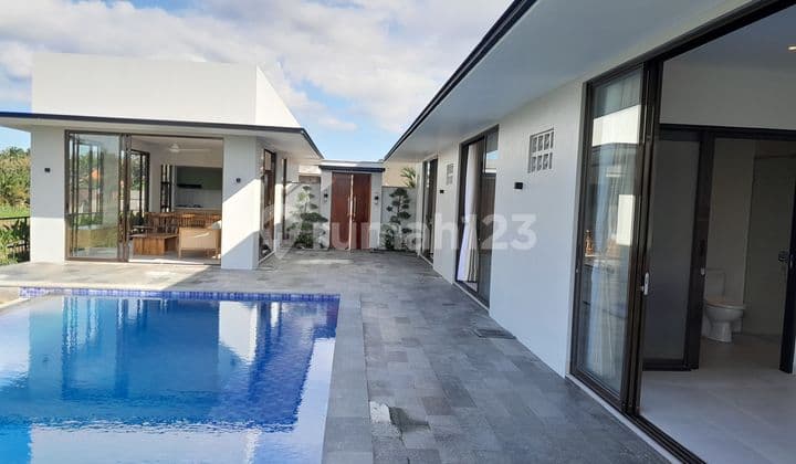 Villa New 3 Bd Ready Unit View Rice Fields Furnished Lokasi Ubud