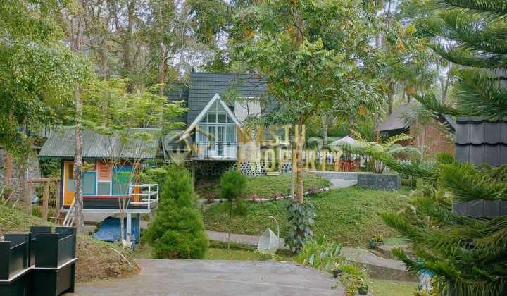 Villa Tanah Luas 1 Hektar di Sleman Utara, Nego