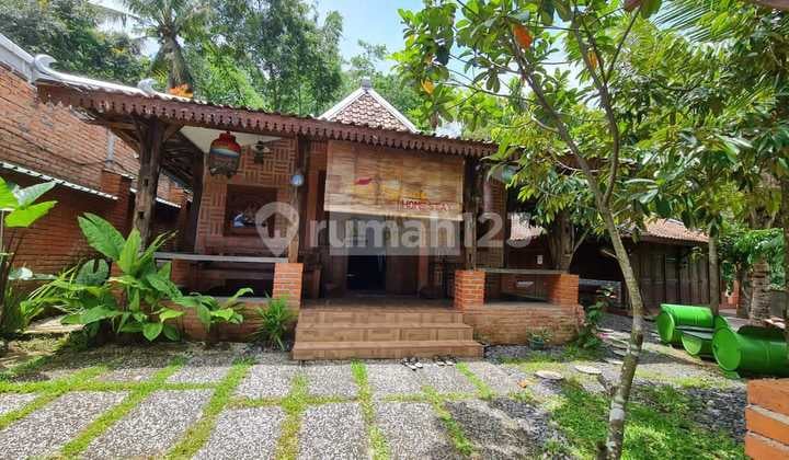 Homestay Murah View Cantik di Moyudan Sleman, Nego!
