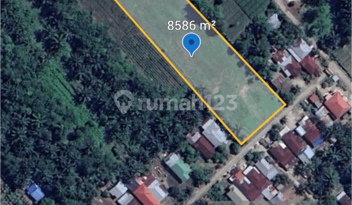 Tanah Luas 8586 M² Lokasi Langkat Dekat Kwala Begumit