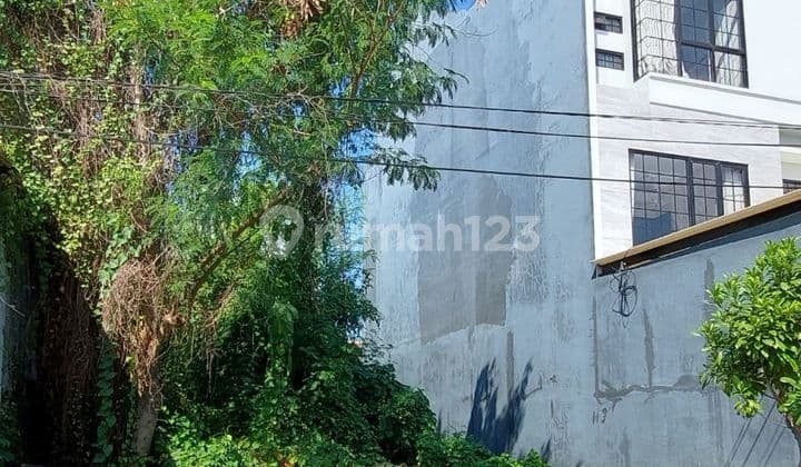 Juak Tanah di Gading Pantai Dekat Raya Kenjeran
