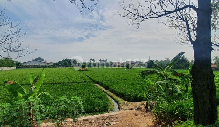 Dijual Tanah 1 hektar SHM pinggir Jalan Raya By Pass Karawang Barat