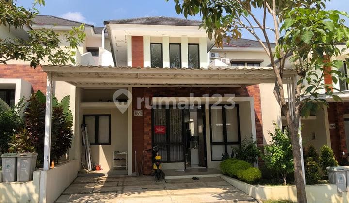 Cluster Danube Citra Sentul Raya Rumah Furnished Siap Huni