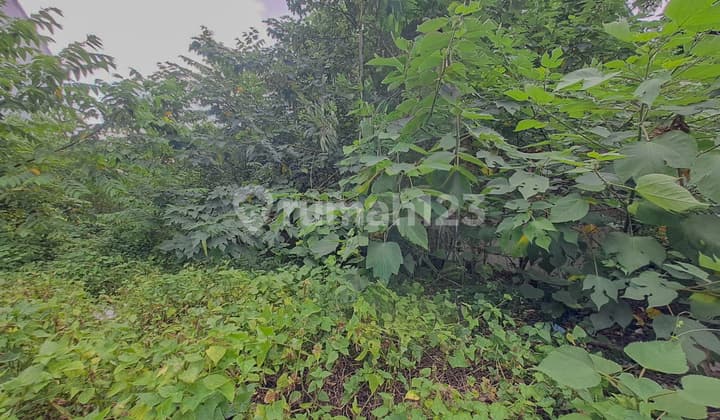 Tanah Tomang Grogol Petamburan