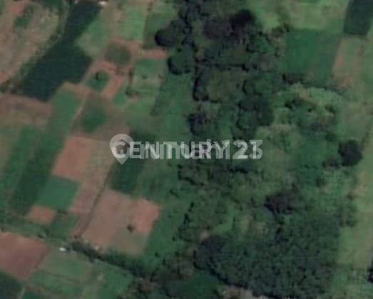 Tanah Lokasis Strategis Di Jalan Pakansari S7514