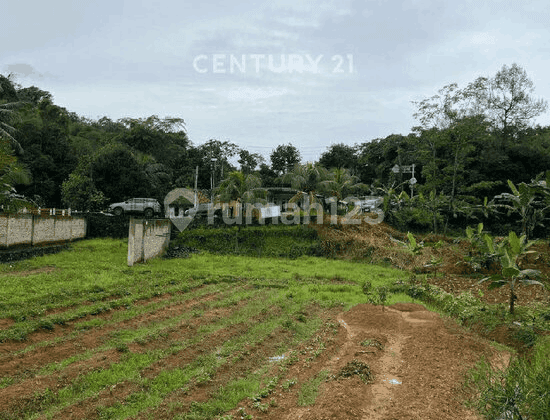 Tanah Kebun Lokasi Strategis Jalan Raya National S9035