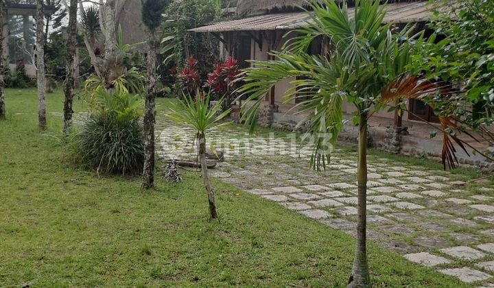 Jual Tanah Dekat Ubud + Bangunan