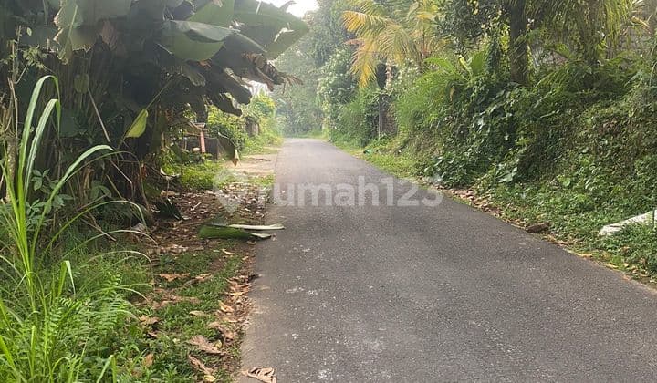 Jual Tanah Ubud Tegal Alang