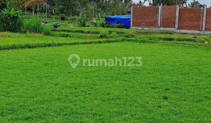 Jual tanah ubud payangan