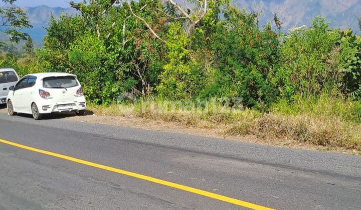 Selling Kintamani land