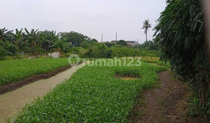 Dijual Cepat Dibawah Njop Lahan Di Cimone
