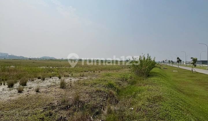 Disewakan Harga Masih Nego Tanah Kavling 1.2 Hektar Di Kawasan Industri Delta Mas Cikarang