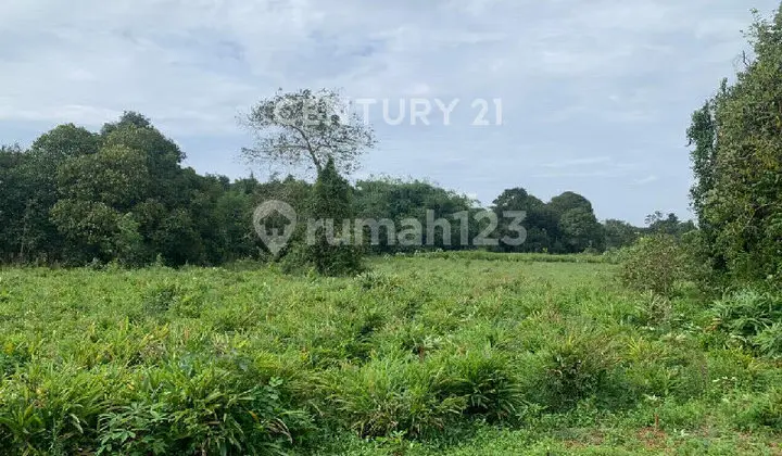 Tanah Area Harvest City dengan Harga Market Cijeran Barat S9538