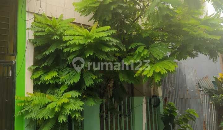 Rumah Dibawah NJOP Grogol Jakarta Barat